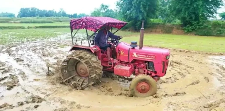 झारखंड में मौसम ने बदला रुख, बारिश से मिली थोड़ी राहत