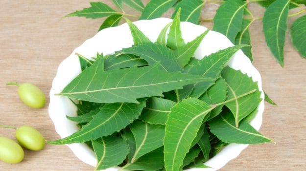 नीम के फायदे: स्वास्थ्य, सौंदर्य और औषधीय गुणों की सम्पूर्ण जानकारी