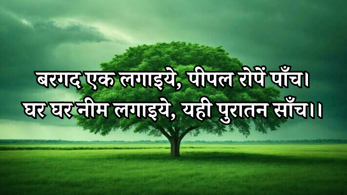पर्यावरण संरक्षण में पारंपरिक वृक्षों का महत्व