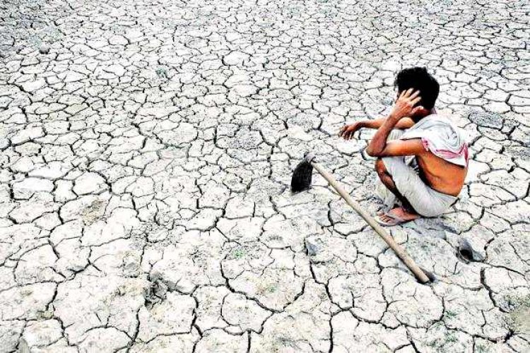 महाराष्ट्र के मराठवाड़ा में छह महीने में 430 किसानों ने की आत्महत्या