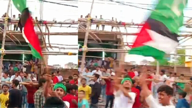 A youth waved a Palestinian flag during a Muharram procession in Bihar's Darbhanga district
