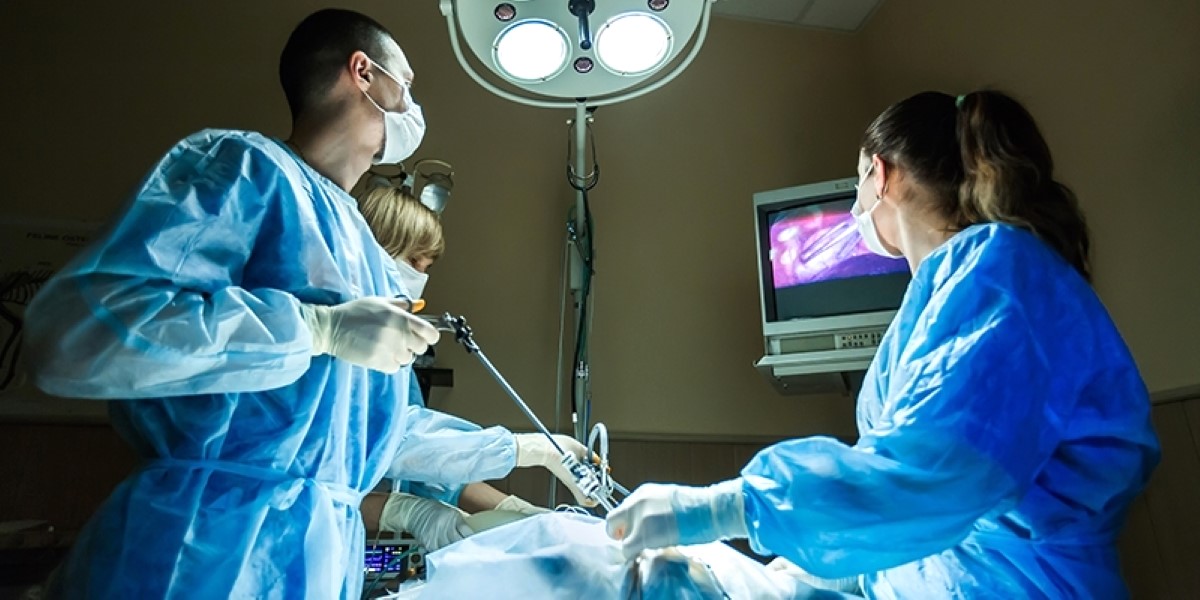 Both the kidneys of a woman who went to get treatment for kidney stone were removed, the doctor admitted his mistake