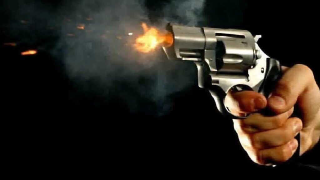 UP Shocker: BJP Leader Shoots Wife and Three Children Over Suspicion; Calls Police to Confess