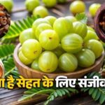 amla buti
