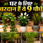 VASTU TIPS
