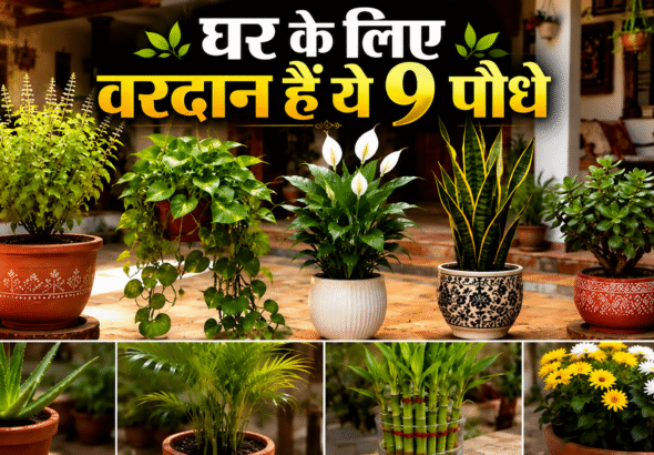 VASTU TIPS