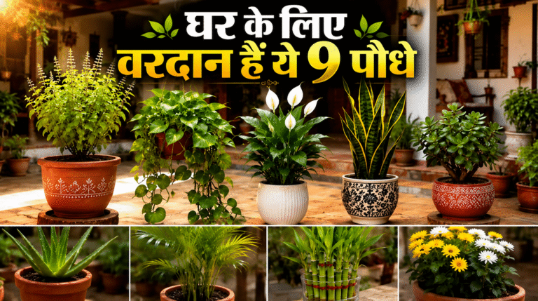VASTU TIPS